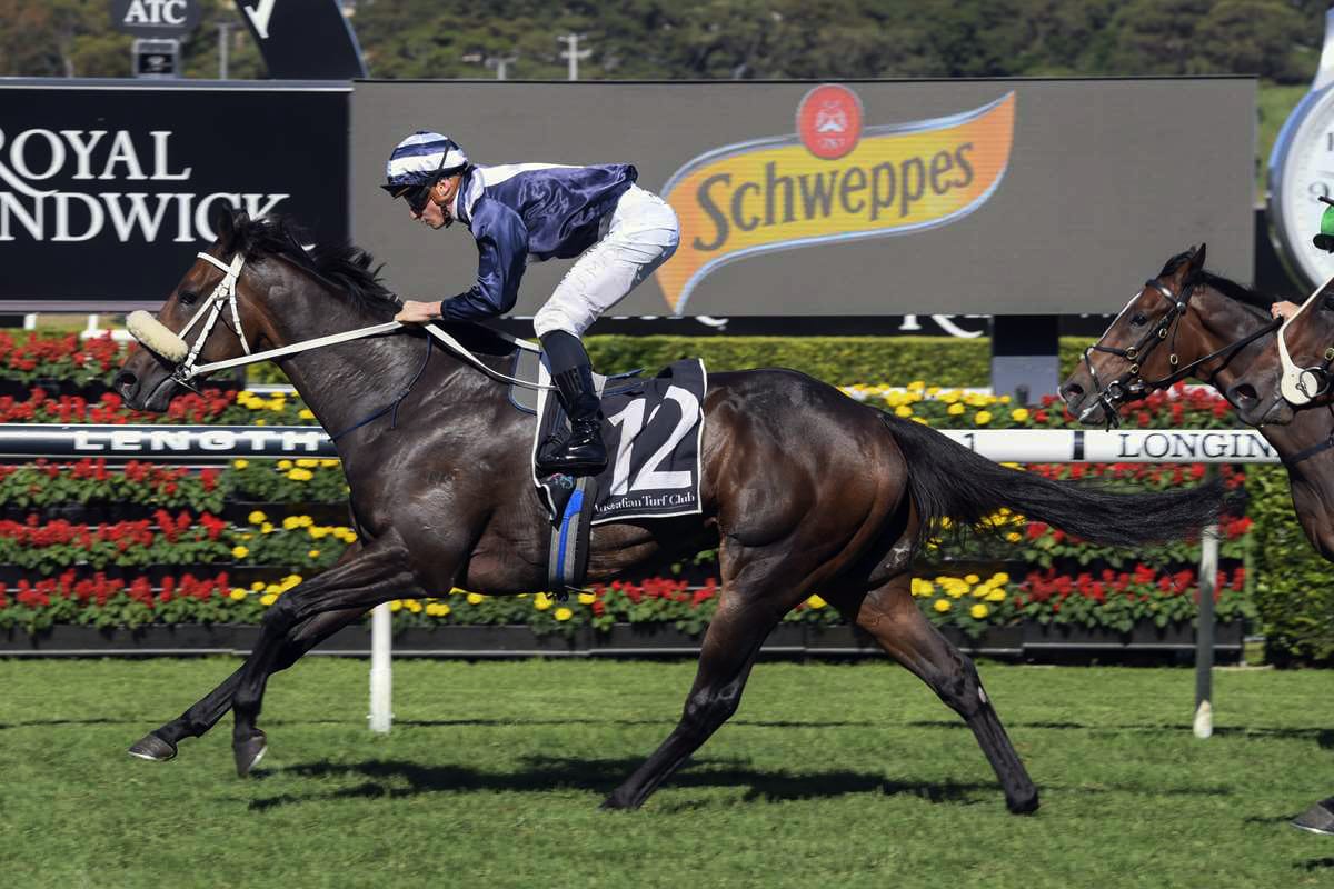 Kinane ready to resume at Flemington