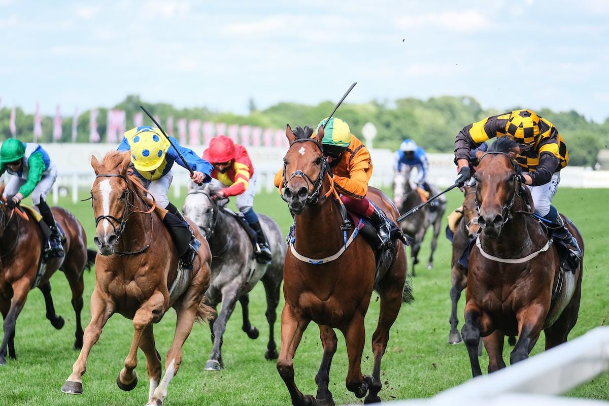 Lindsays ecstatic following Group One Royal Ascot triumph