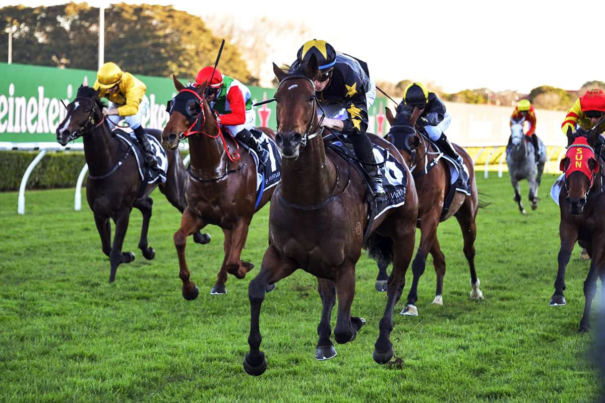 Le Gai Soleil set to rebound at Randwick