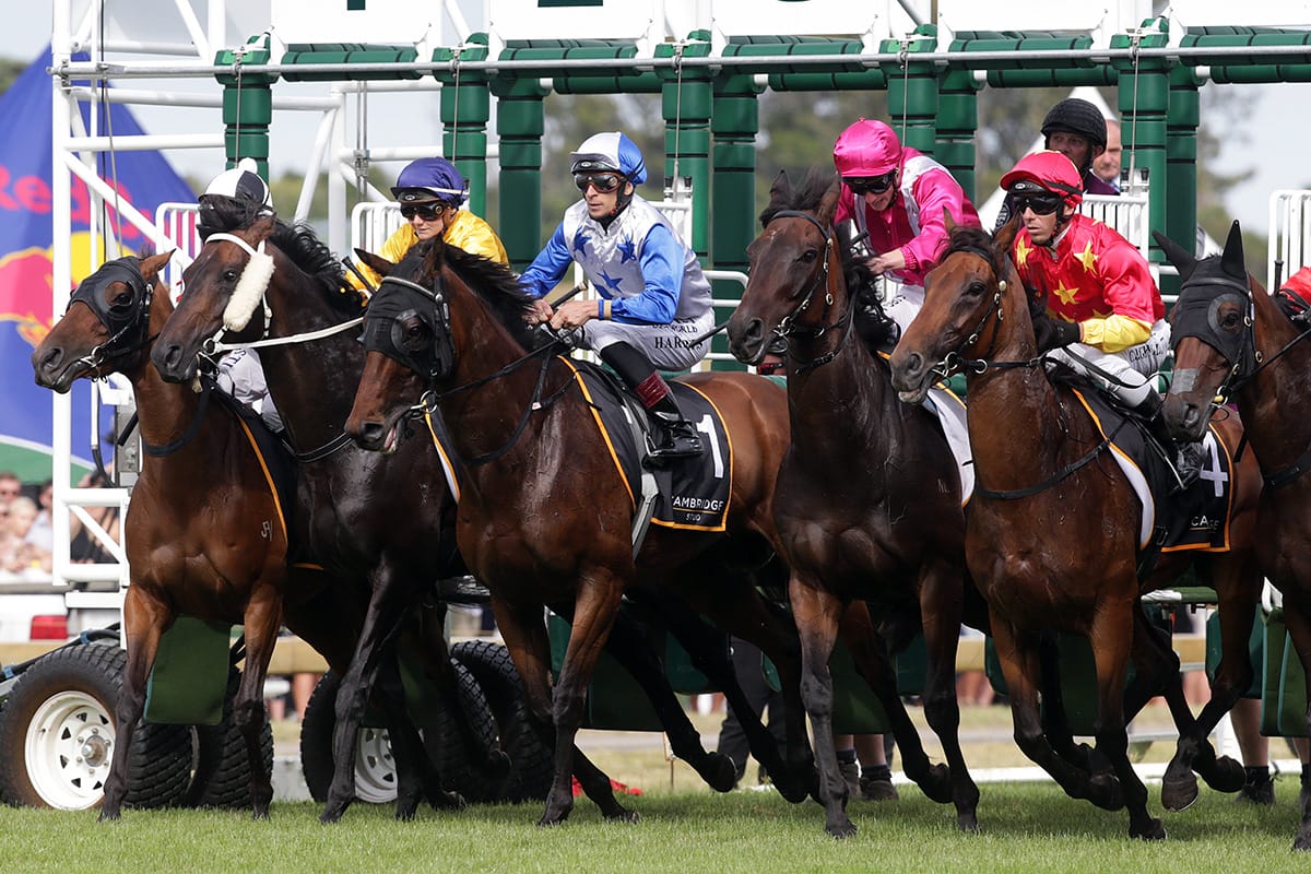 Raceform returns in new season