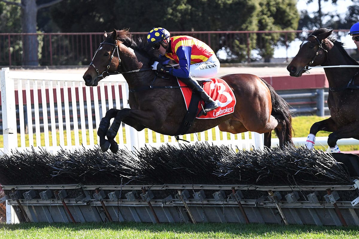 Ablaze set to make return at Sandown