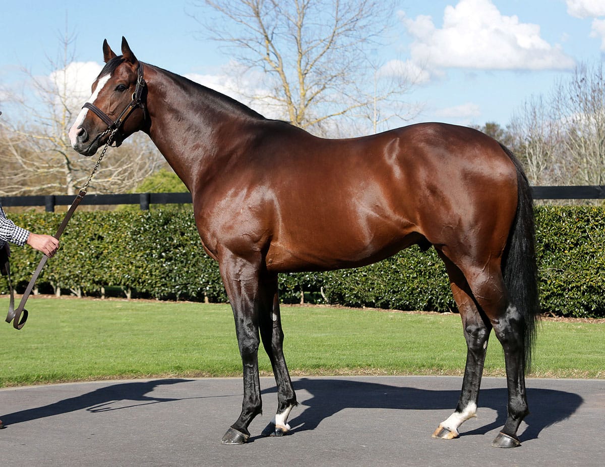 Belardo secures first season sire crown