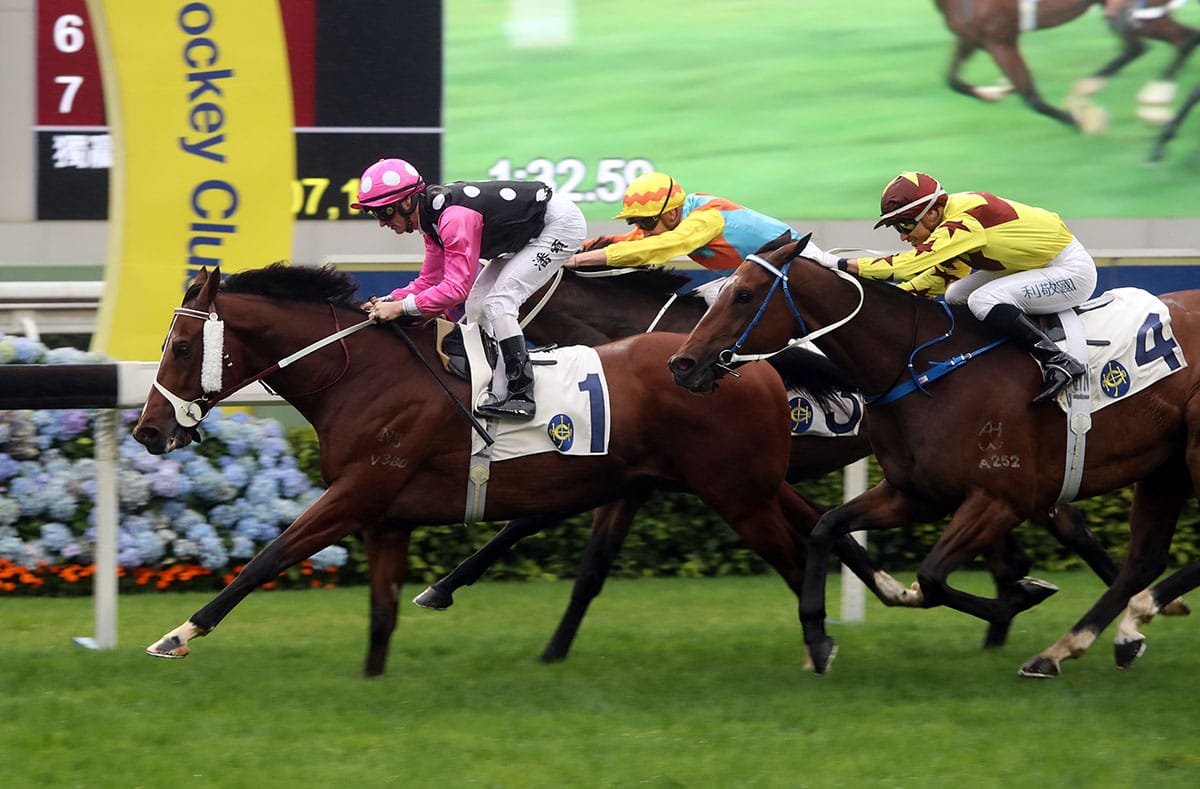 Hayes camp pleased with Beauty Generation ahead of return