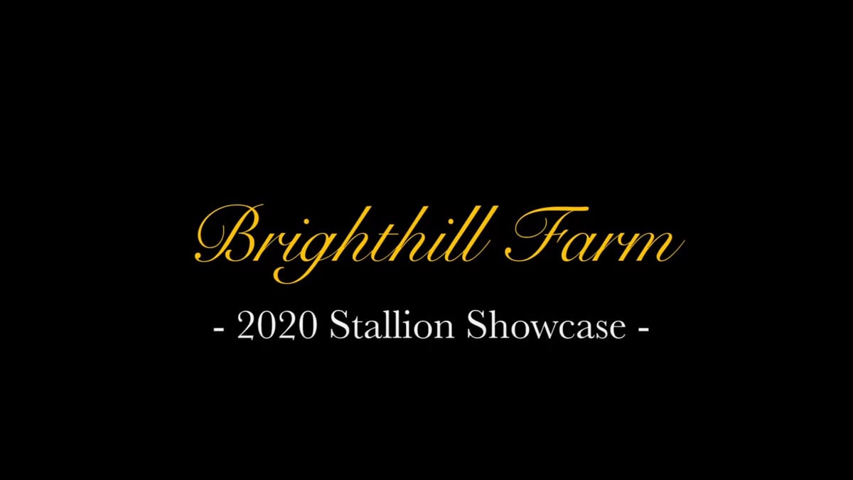 VIDEO: Brighthill Farm