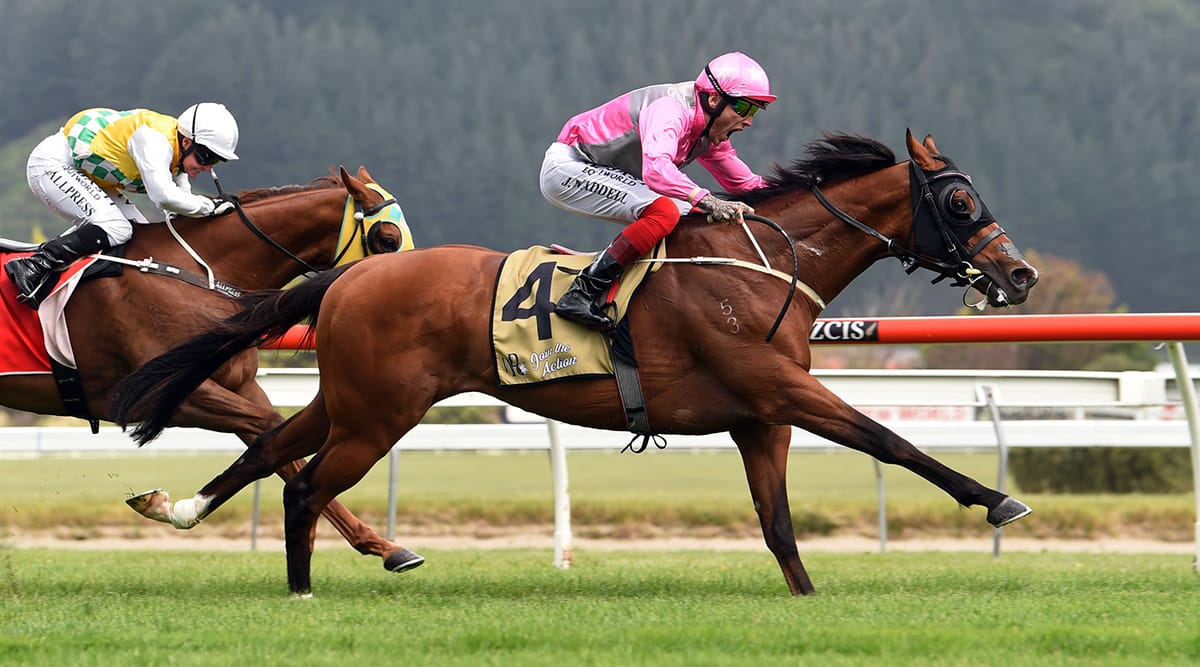 VIDEO: Stallion Parade
