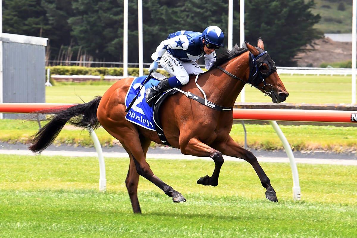 Spirited performance in Trentham opener