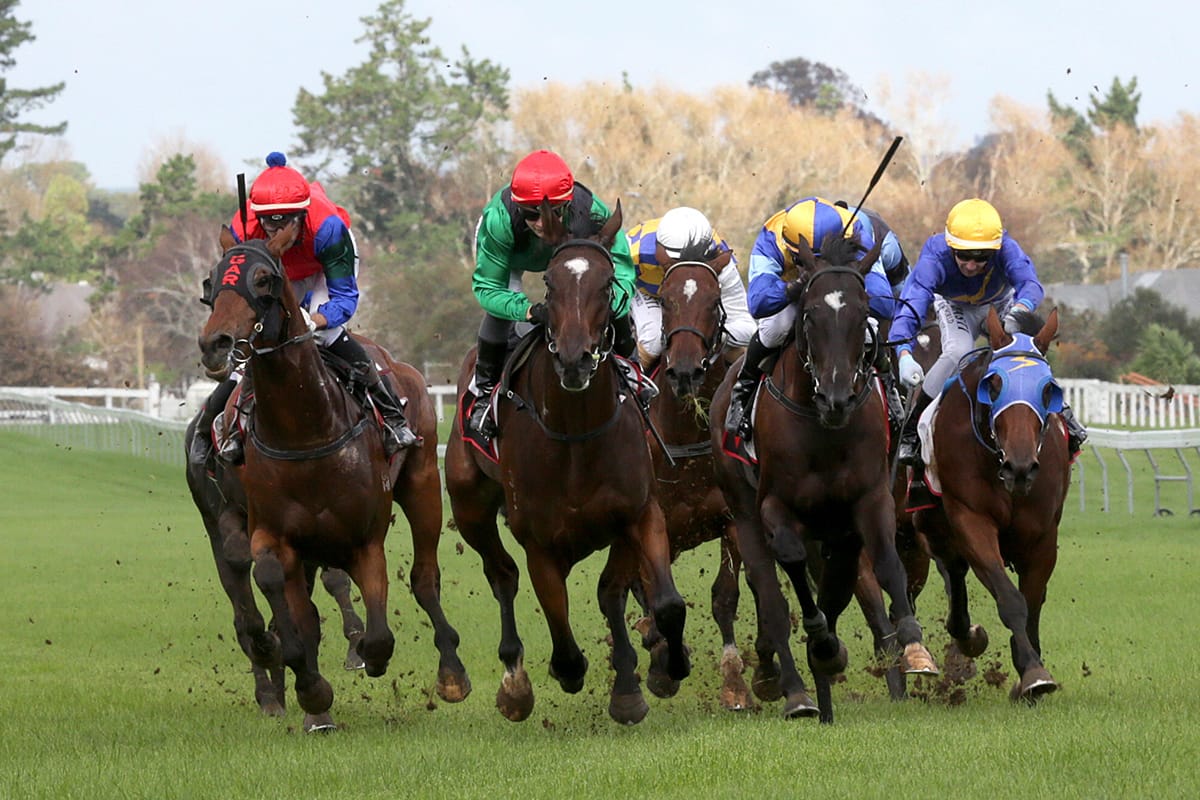 New Zealand Stakes Winner Tops Goffs February Sale