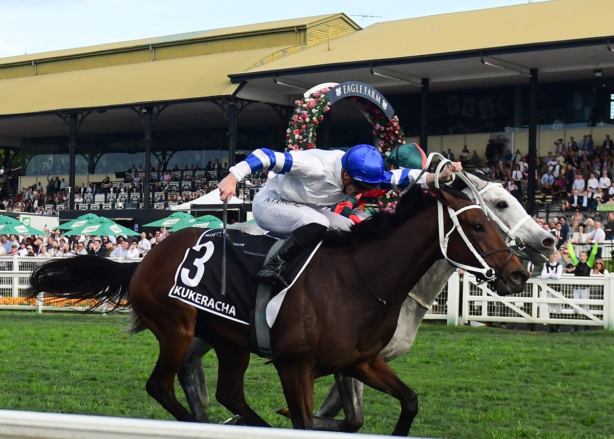 Quality Bloodlines in 2021 Ready to Run Sale Catalogue