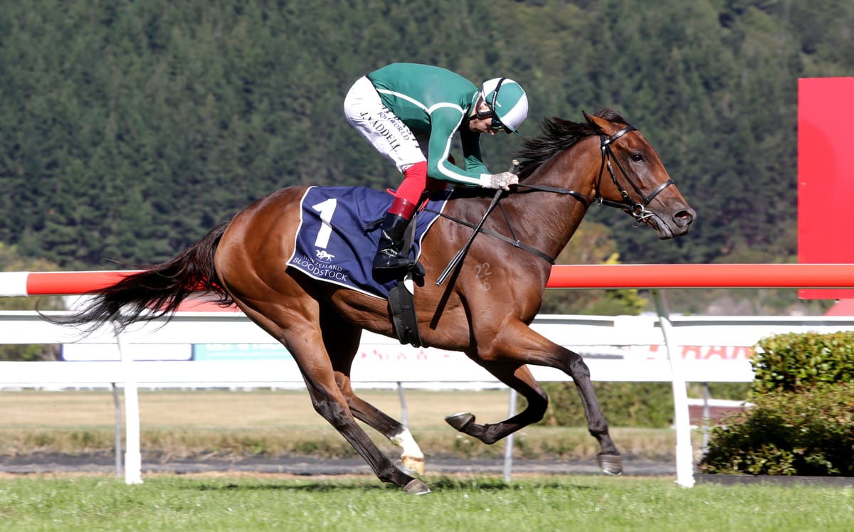 Filly of the Year to be auctioned on Gavelhouse Plus