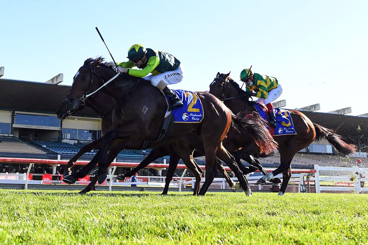 First winner for Tarzino
