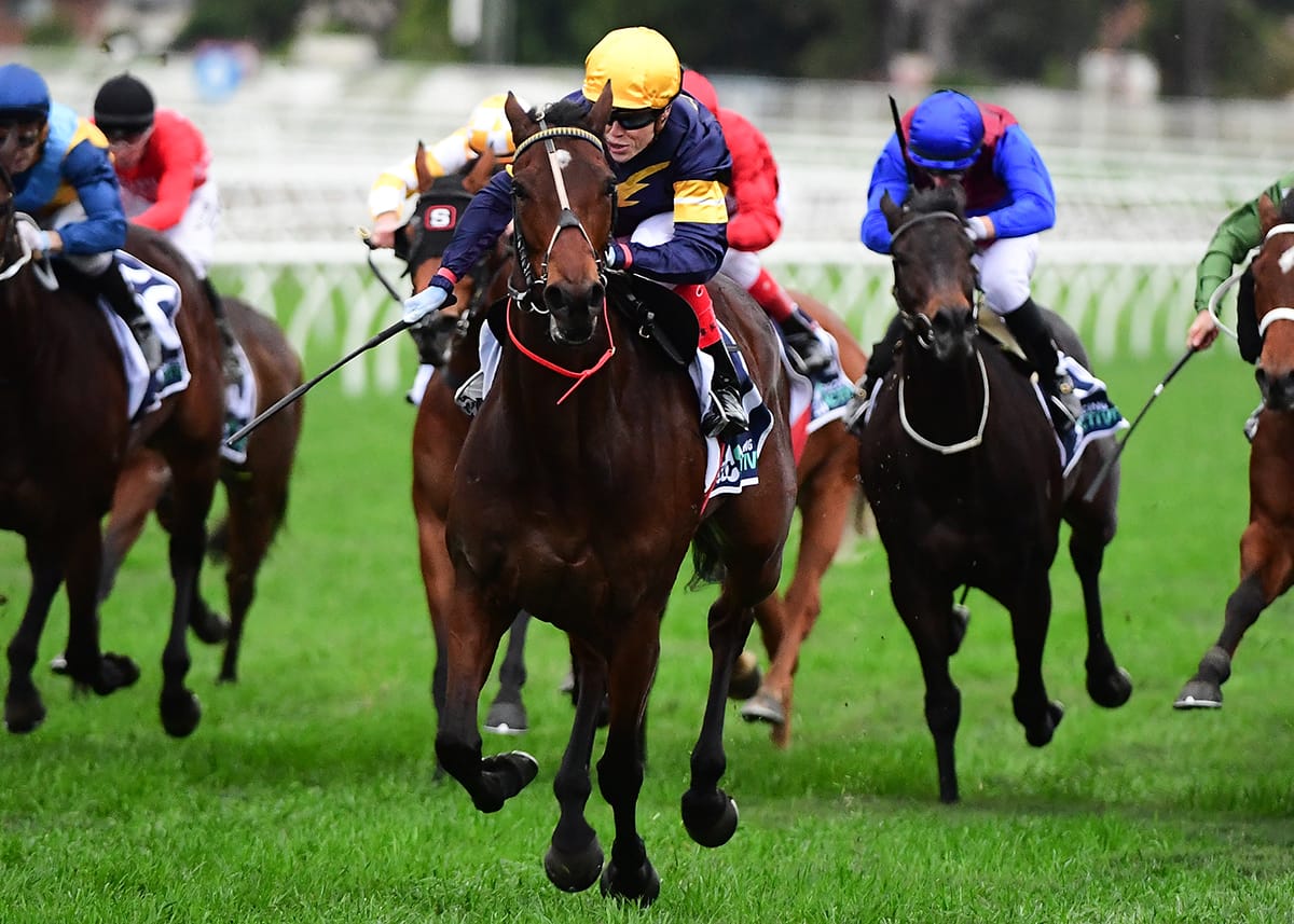 Distance rise likely for Tofane