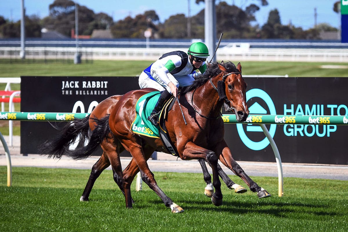 Tutukaka to stay the Derby distance