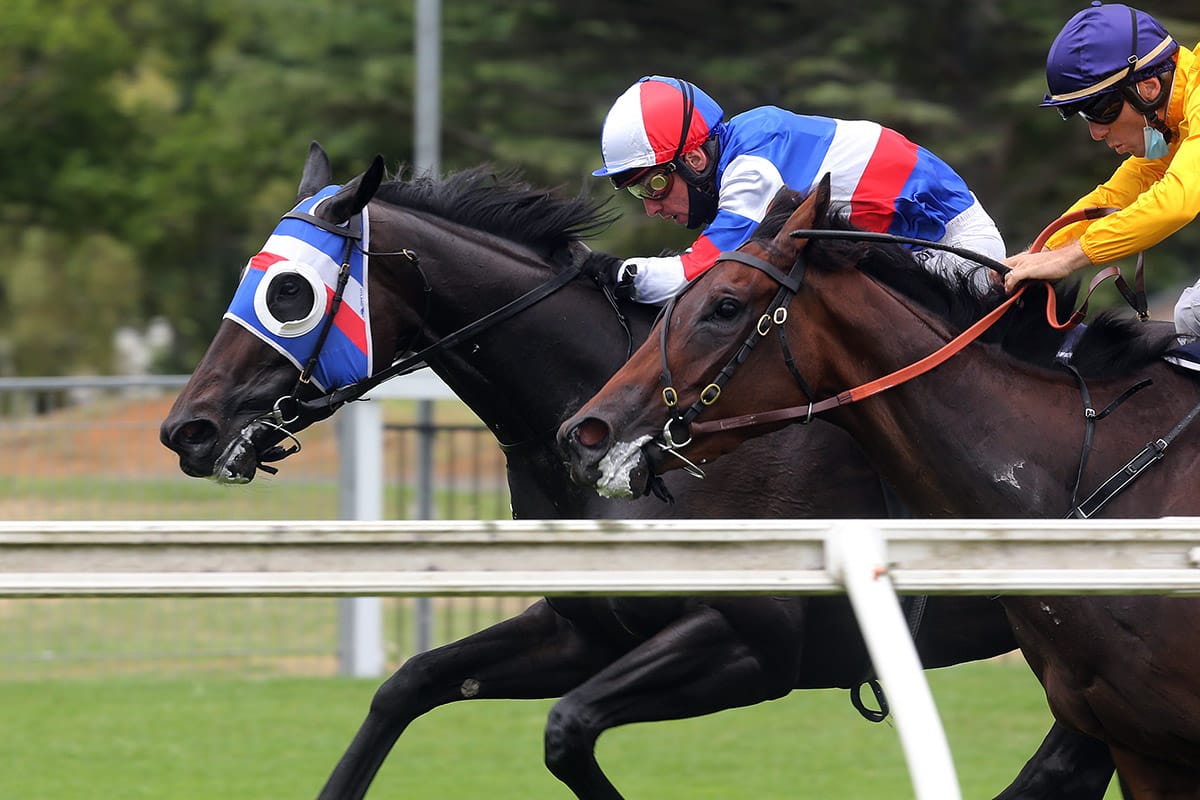 Out of control hobby reaps Group Two rewards