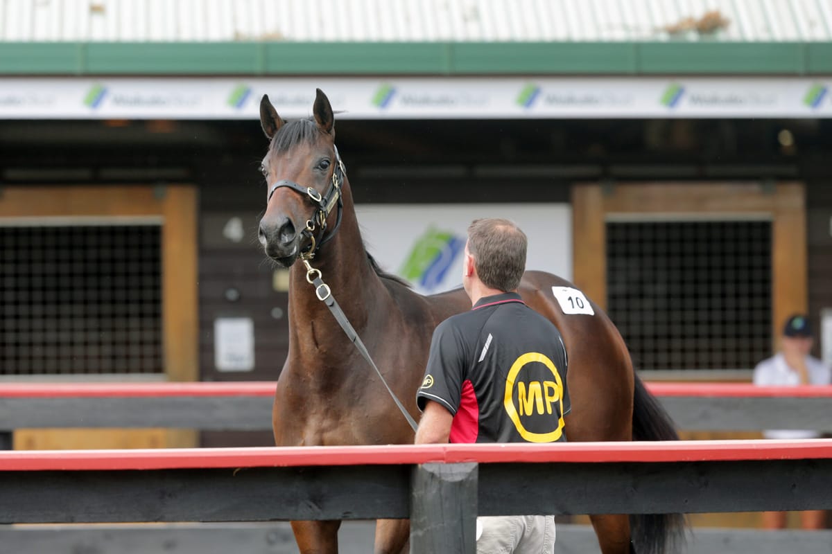 The King reigns supreme at Karaka