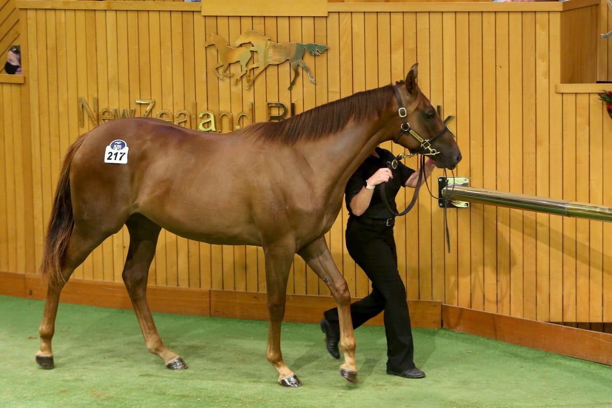 Forsman invests in his future at Karaka