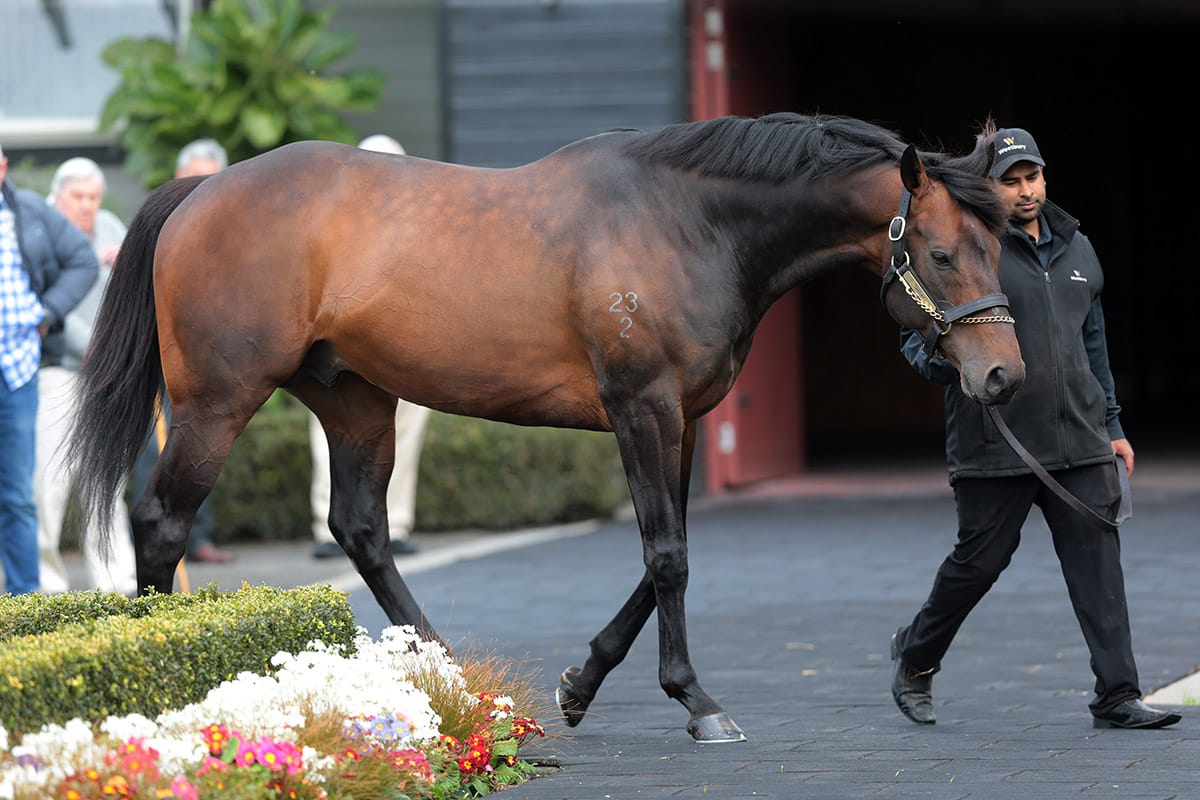 'Exciting' Derby prospect glides in trial