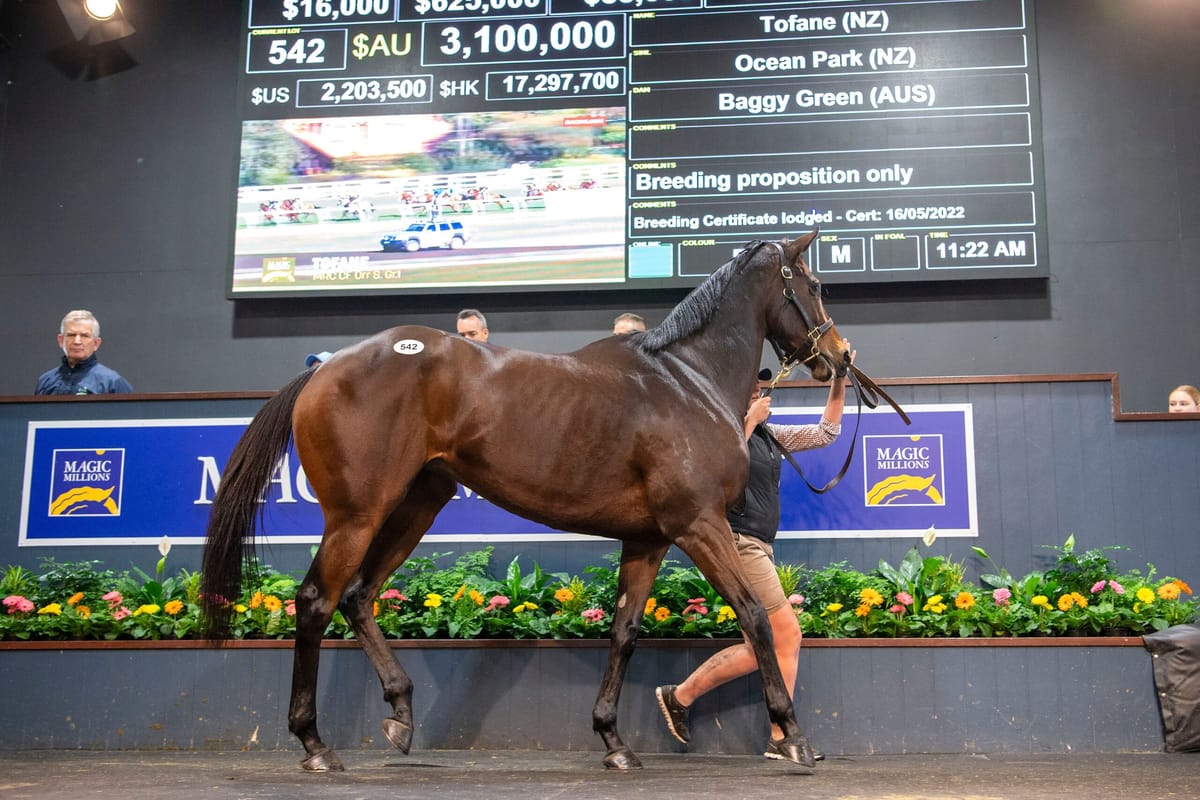 Tofane sells for A$3.1 million