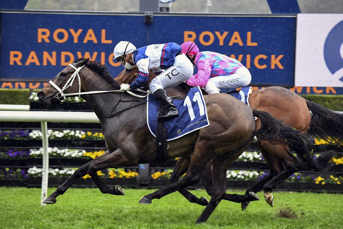 Atishu to get a jump on Tiara rivals
