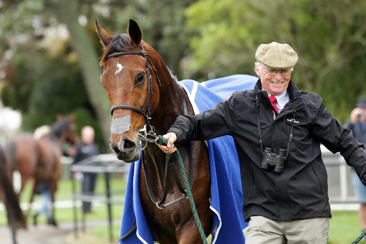 Wilson’s wonderful journey over fences