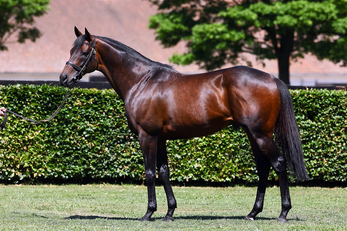 Time Test’s Rocchigiani lands Goodwood Group Three