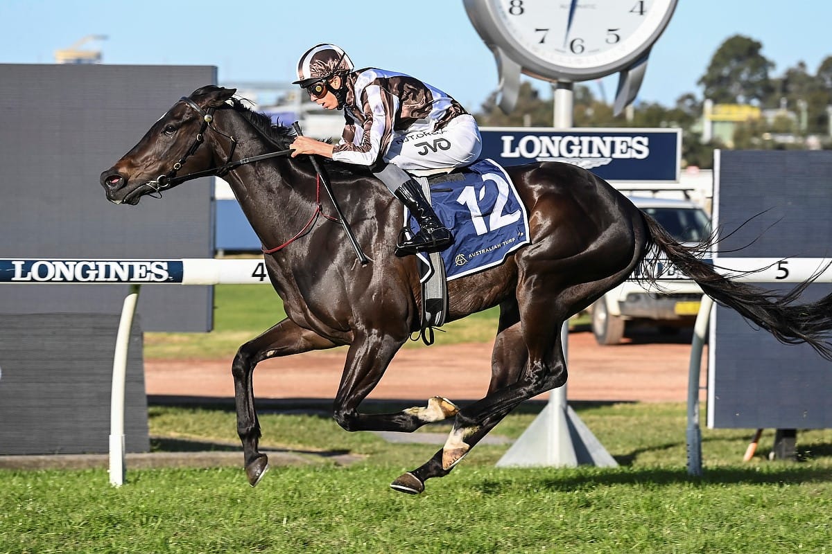 Cross Talk out to stake Doncaster claims