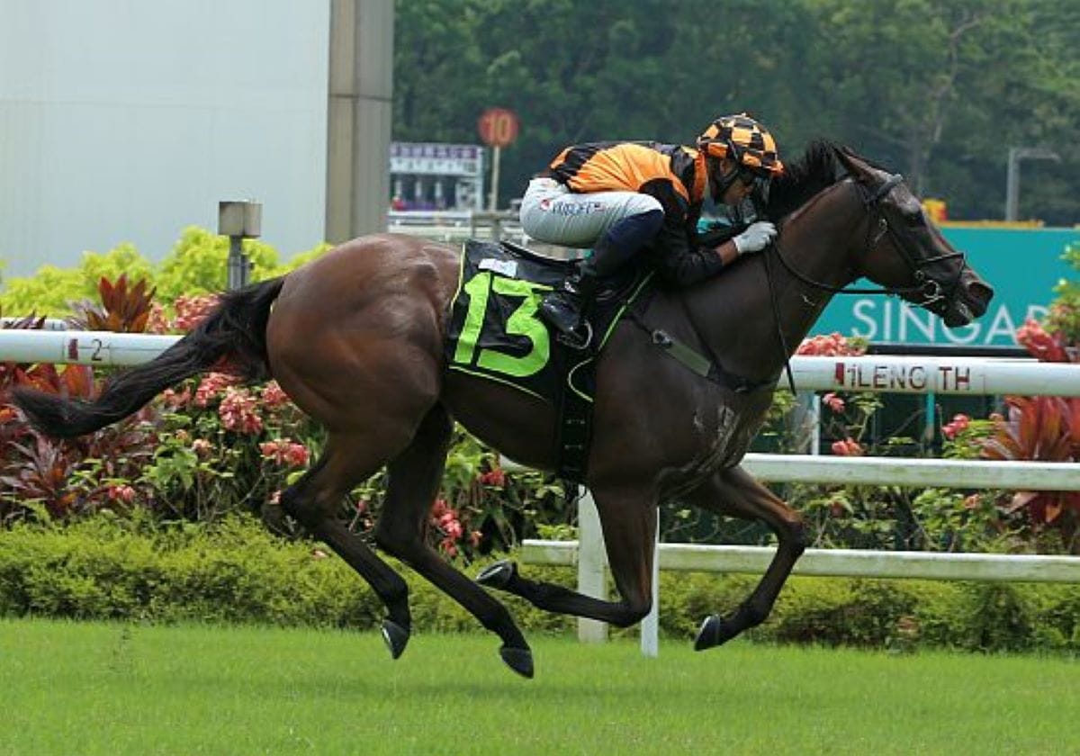 Luxury win for Bax