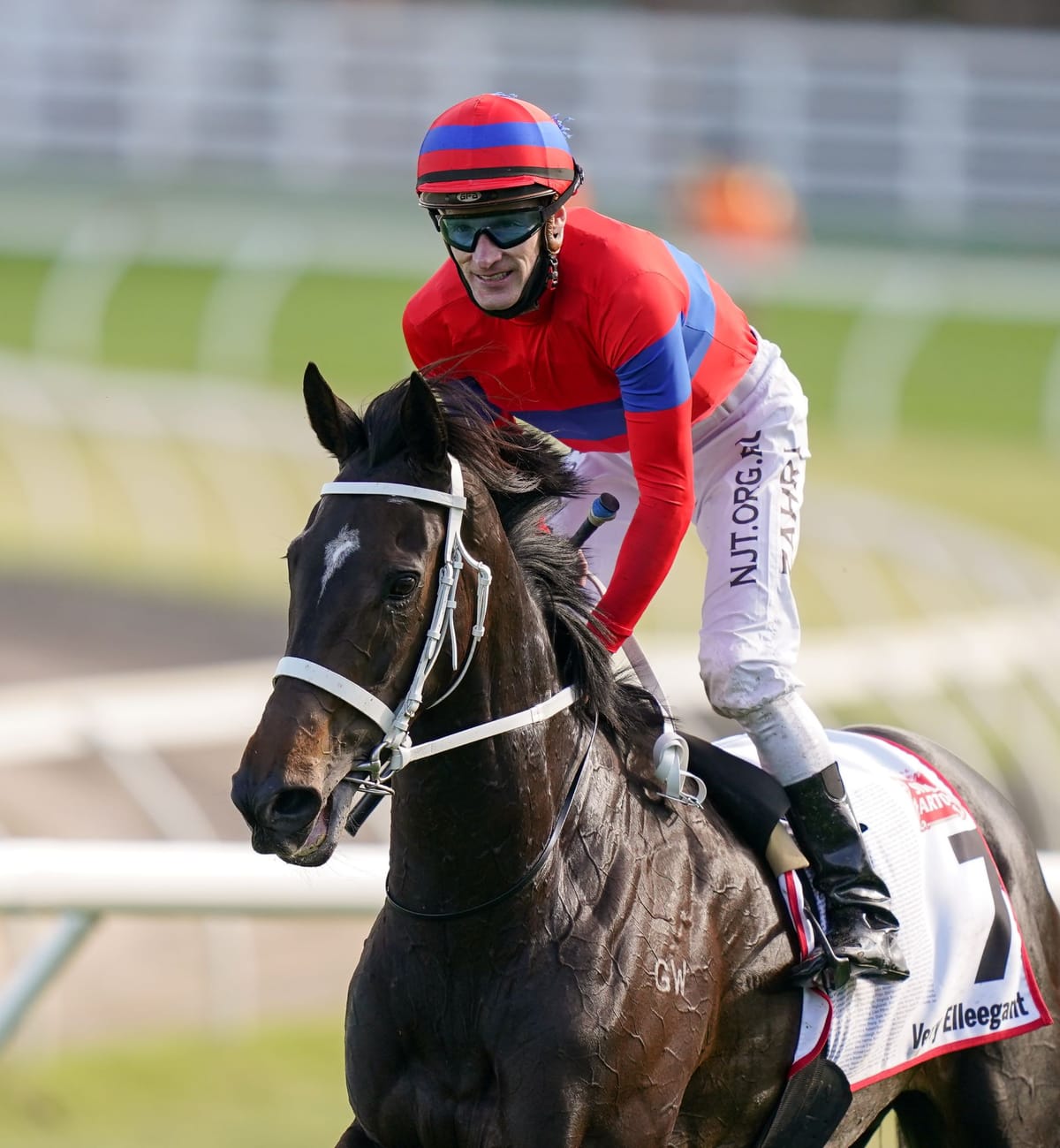 Verry Elleegant's Arc rider selected