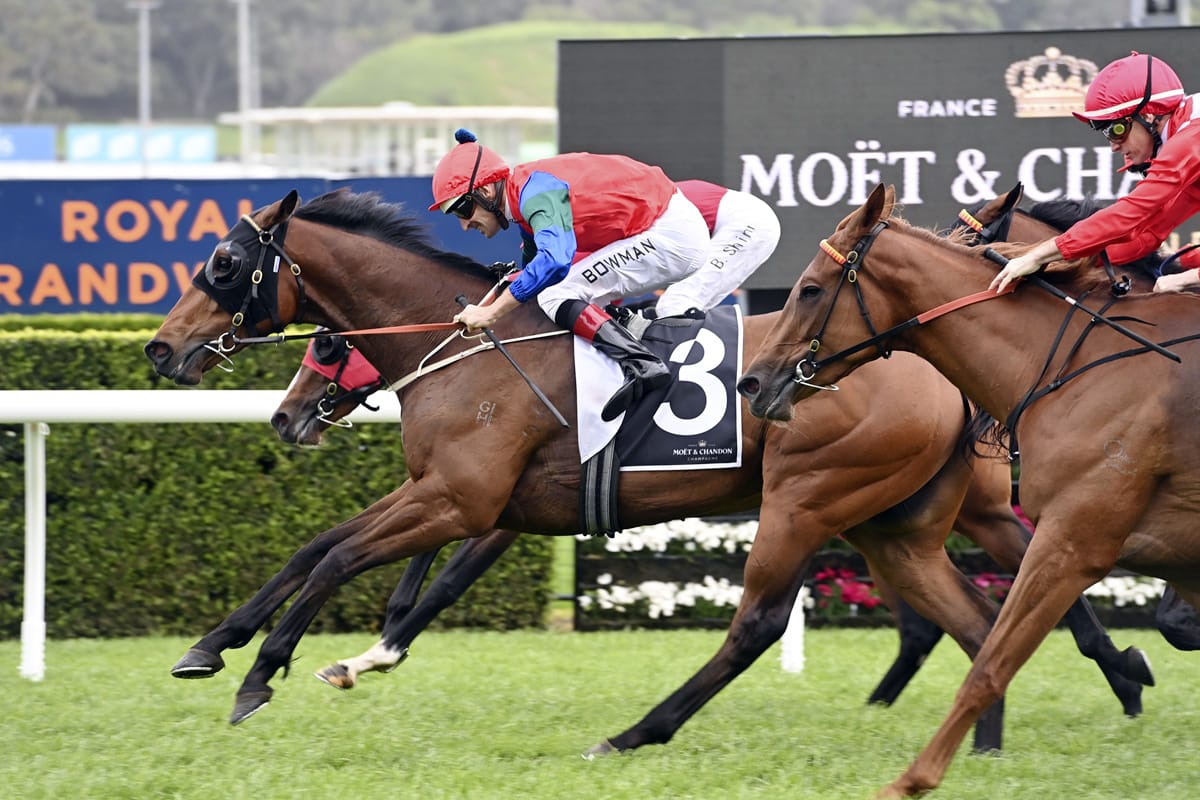 Derby favourite arrives in Melbourne