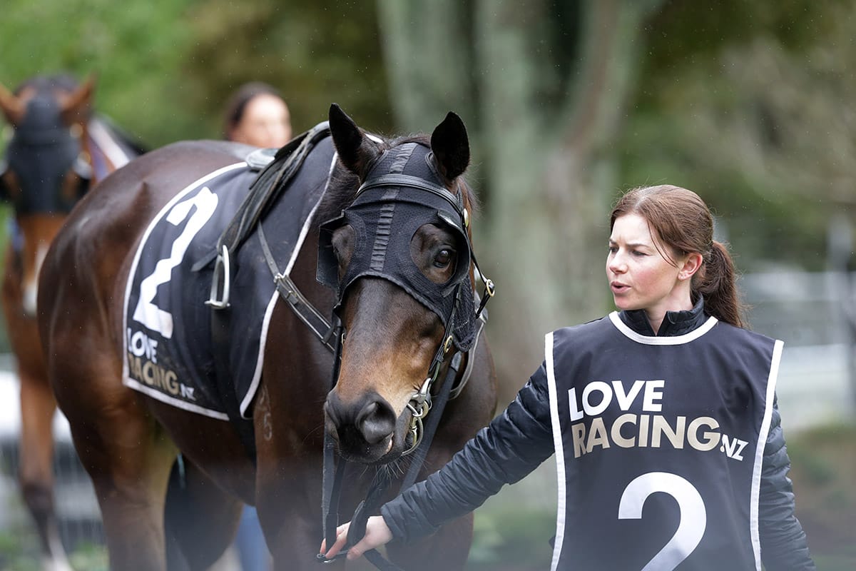 Coruba Jak gets hard fought win at Tauranga