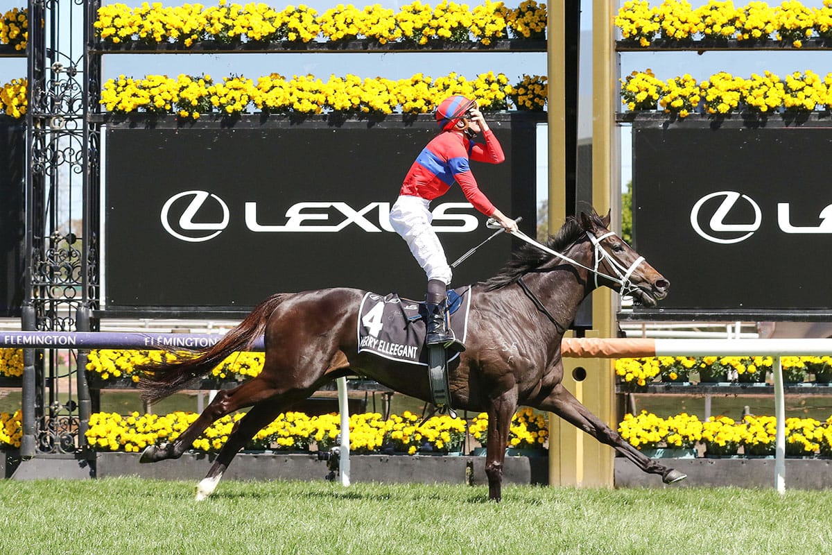 Share in champion mare Verry Elleegant for sale on Gavelhouse Plus