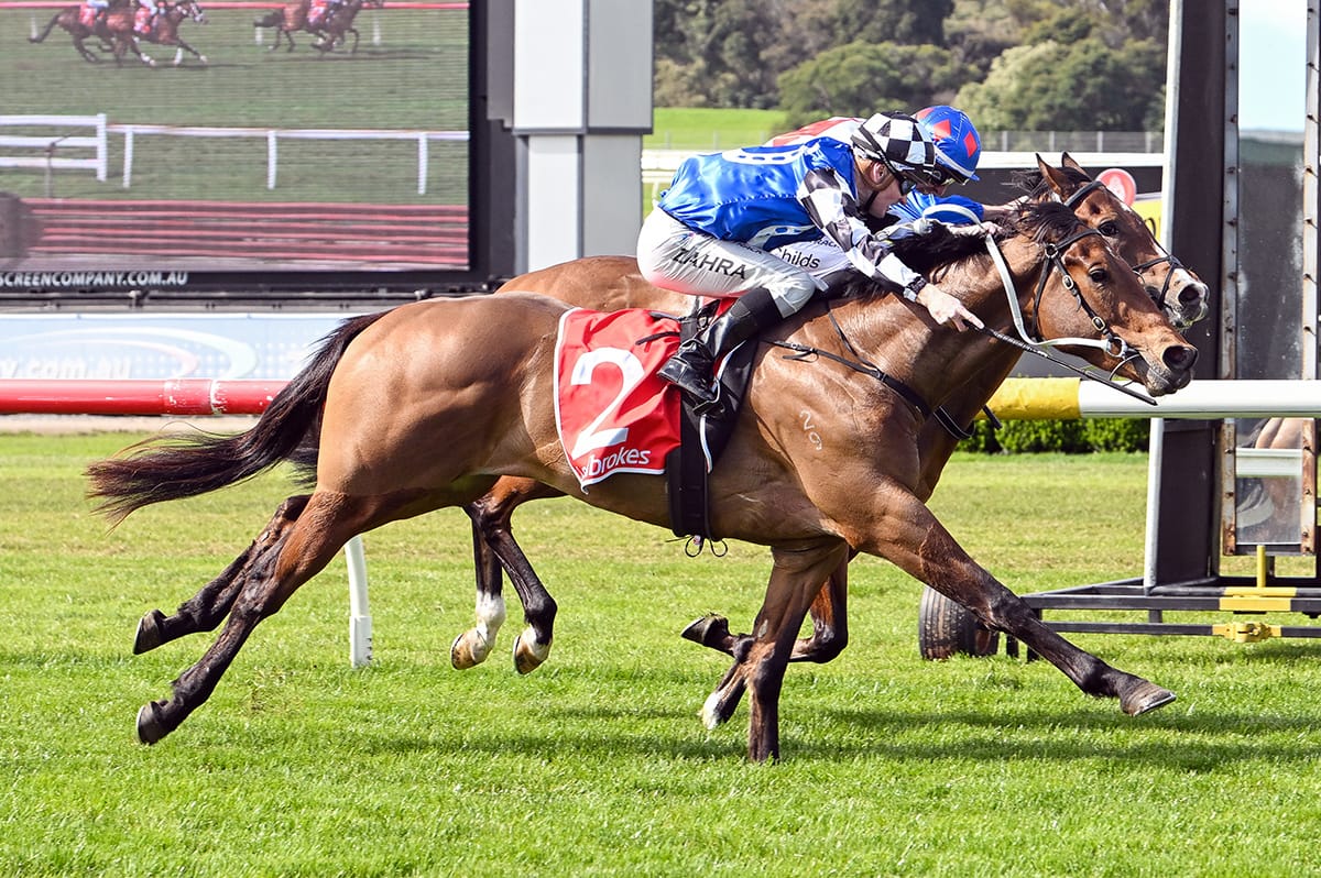 Derby aspirations for Artzino