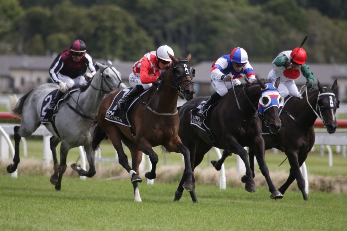 <strong>Dionysus excels under patient Kennedy ride</strong>