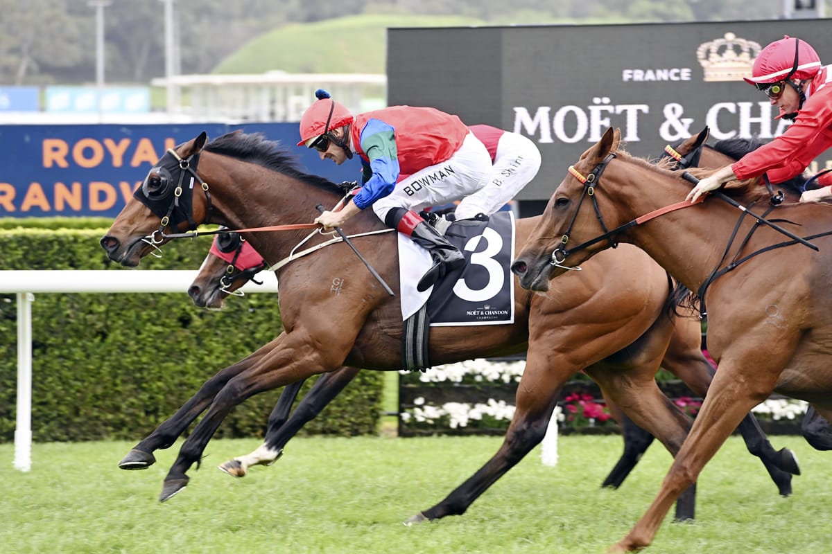 Rogerson happy with smart 3YO