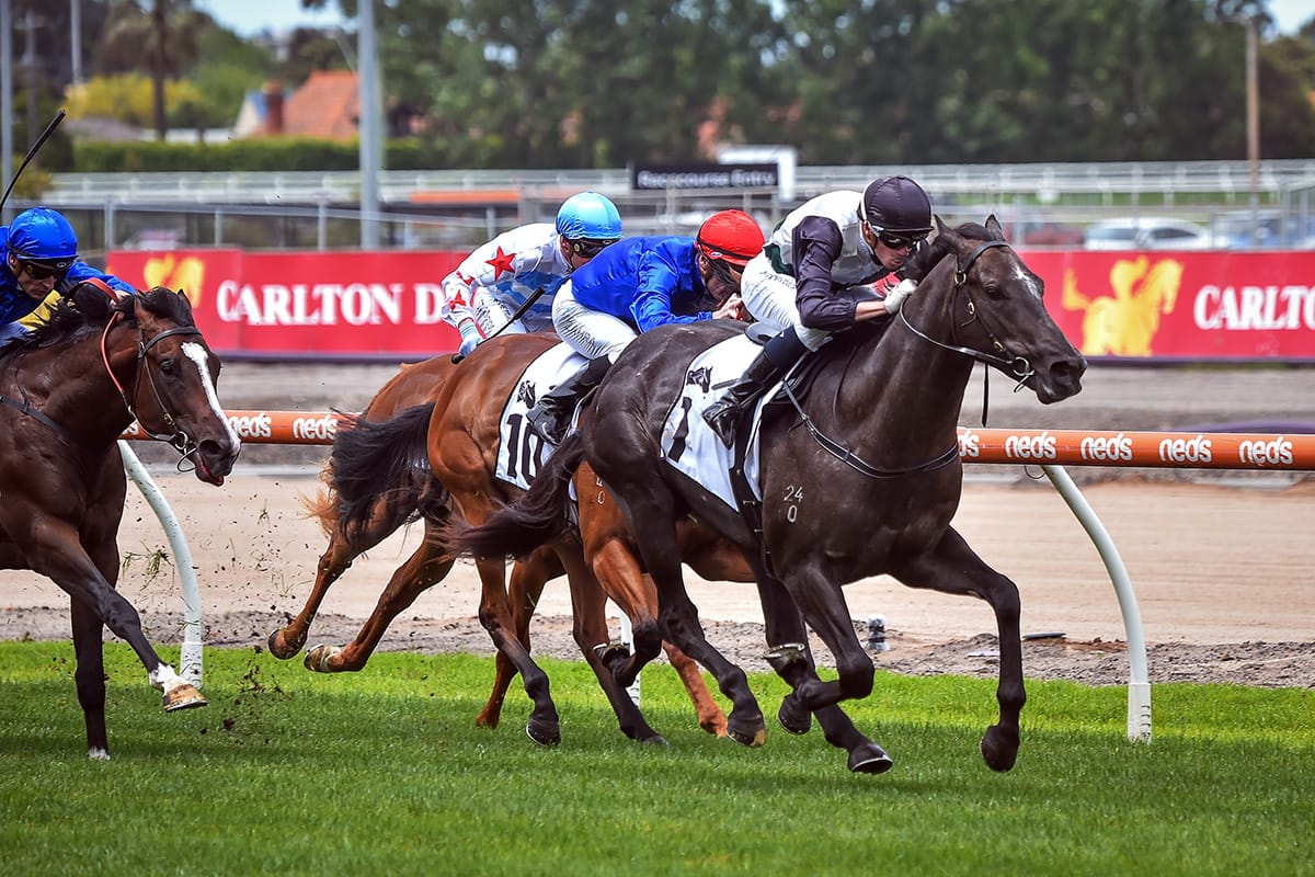 Big spring for Little Brose