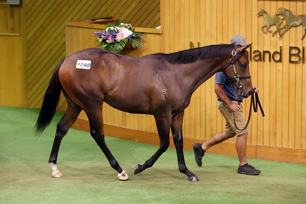 Foote finishes Karaka with a flurry