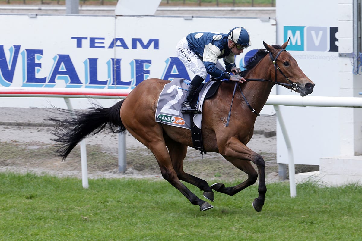 Weatherley has spring plans in full swing