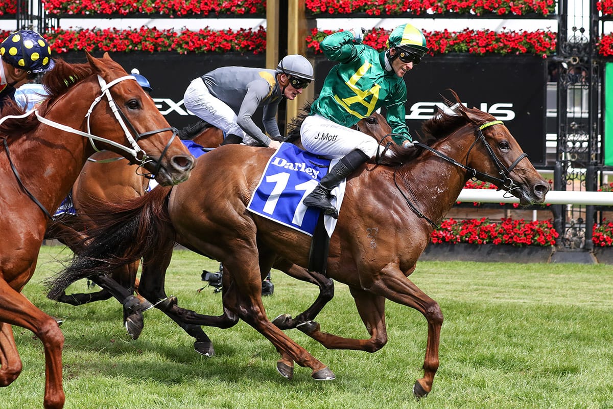 Mott ready to Roch in Lightning