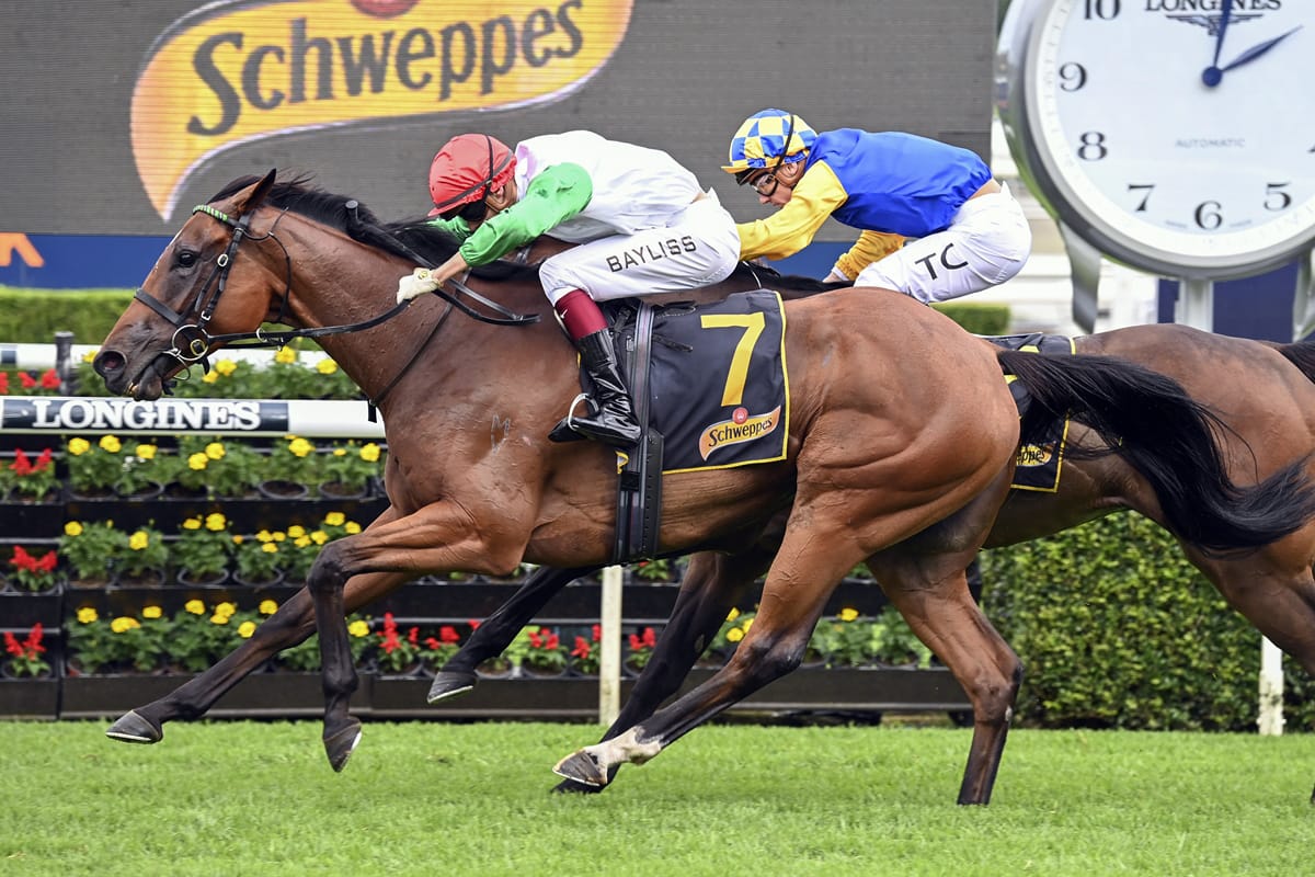 Nerve to leave mark in Cup