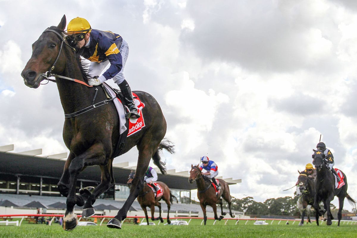 Butterfly ready to launch at Flemington