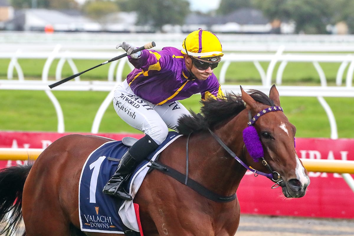 Robinson well-represented at NZ Cup Week