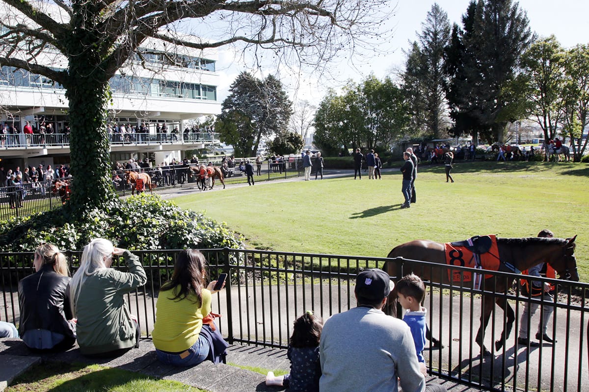 Waikato Super Club merger endorsed
