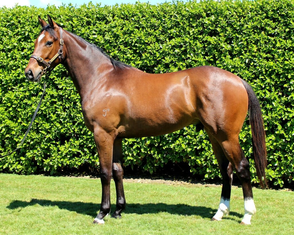 San Andreas Captures Tunku Gold Cup