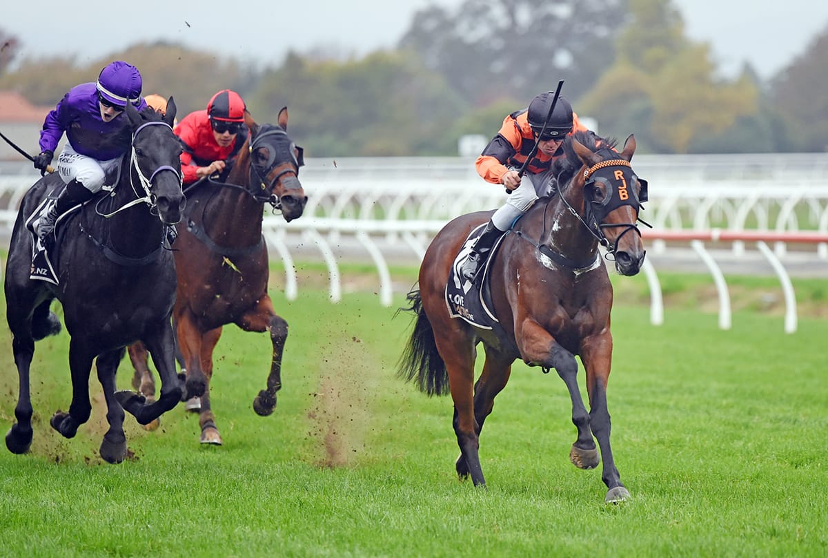 Town Cryer on song ahead of Ellerslie Group One