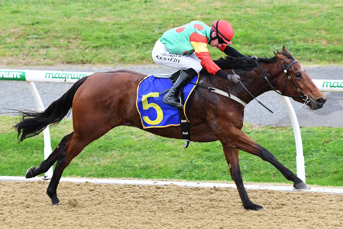 Caledonie cruises to victory at Cambridge