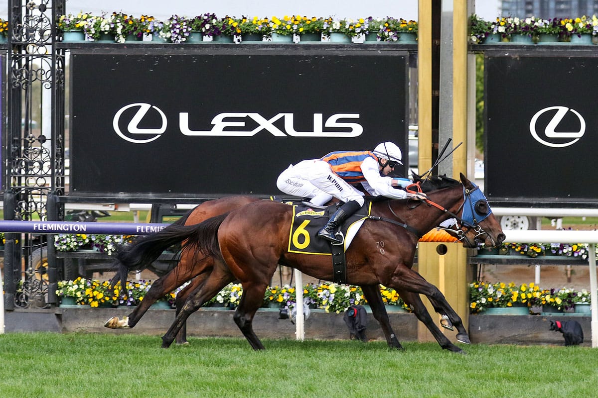 Black-type breakthrough for bargain filly Dolphin Skin