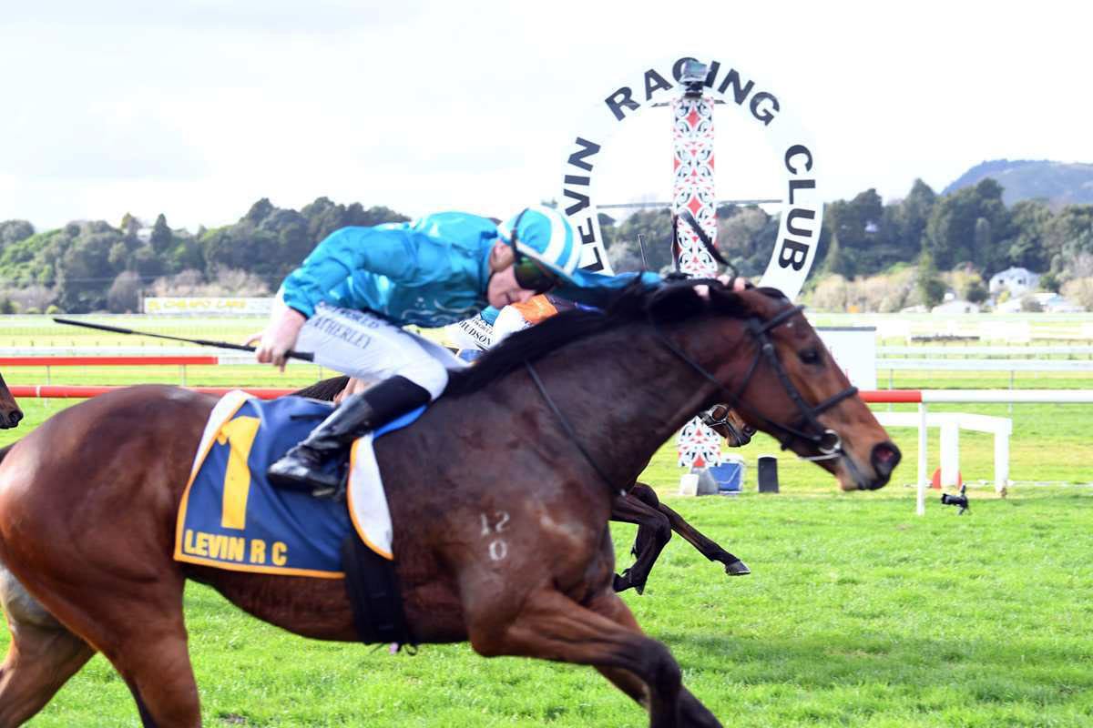 Nail biting finish to the Ryder Stakes