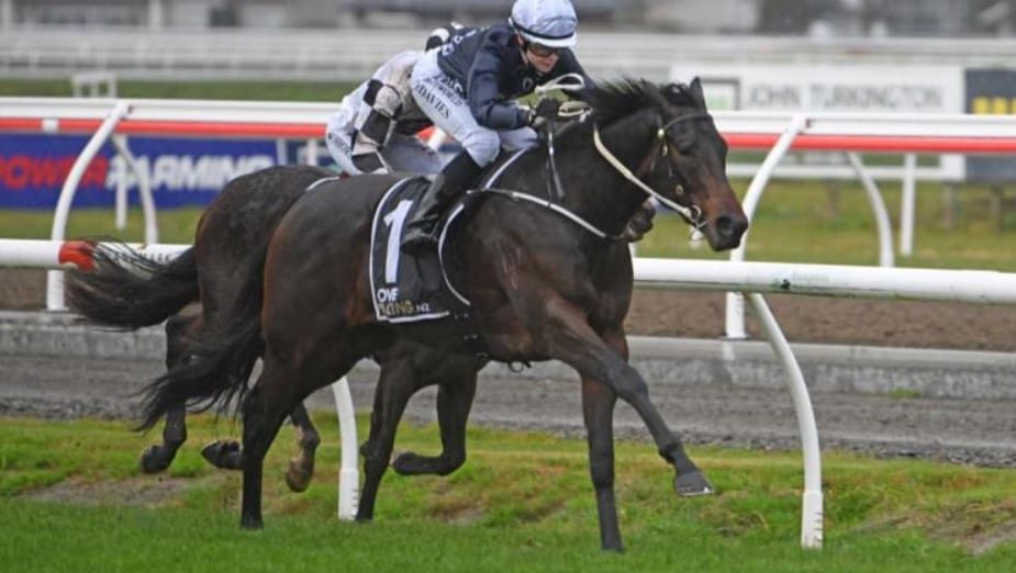 Ardee Boy delivers at Awapuni