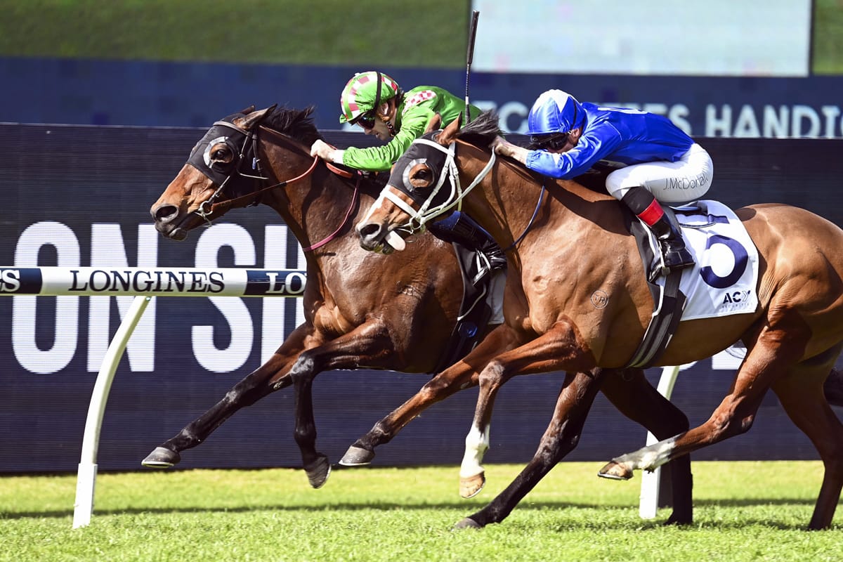 Travelling Kate too tough at Rosehill