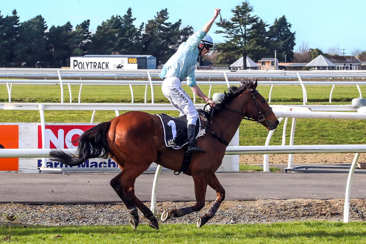 Jumps feature double for Oulaghan at Riccarton