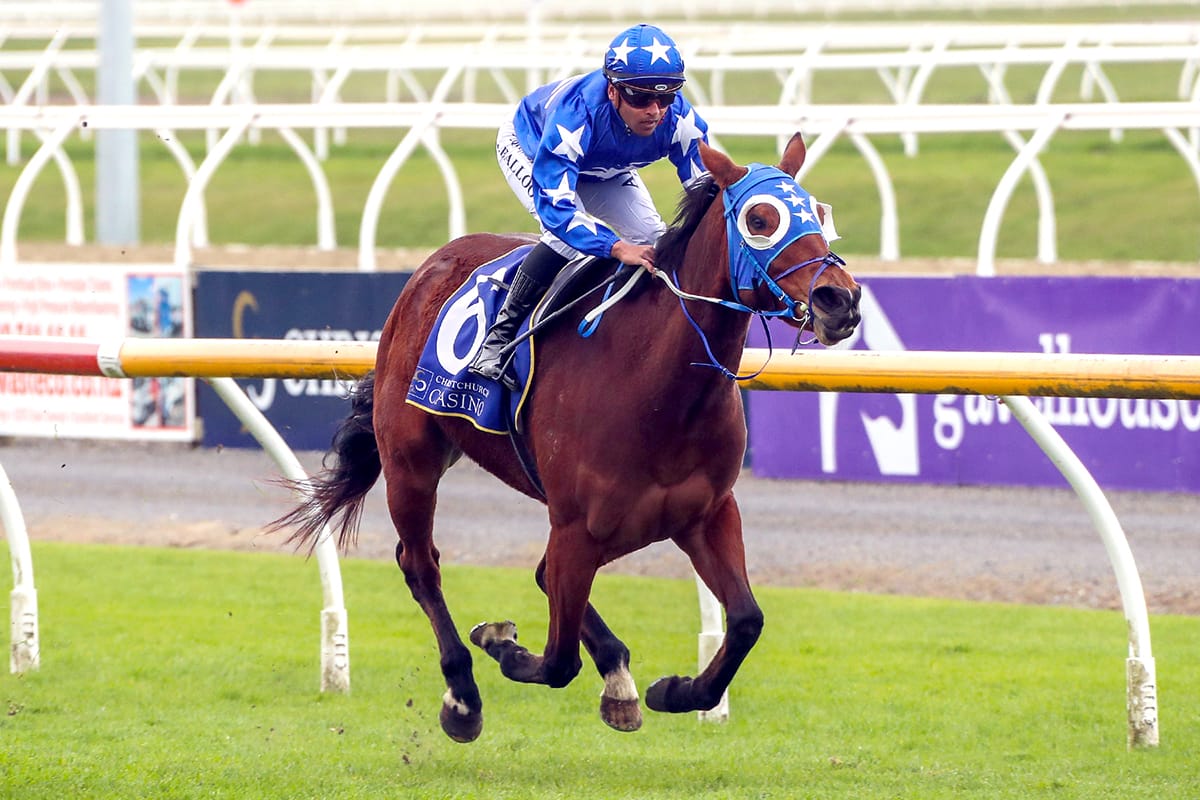 Lady Telena scores at Riccarton